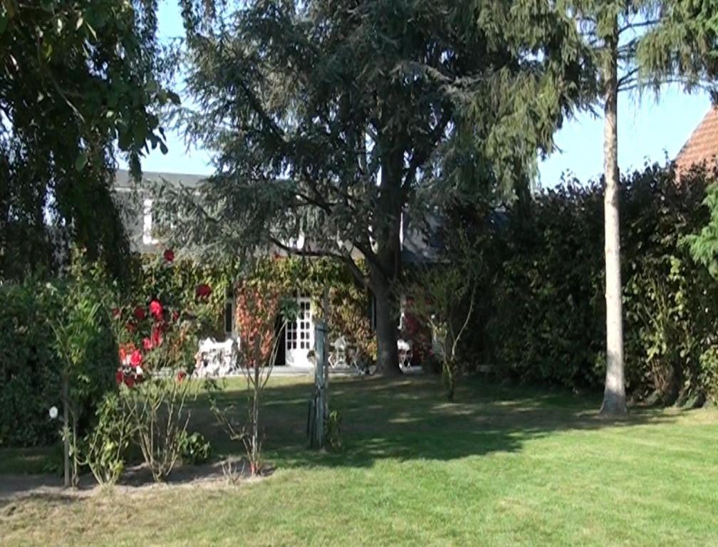 Le Petit Pont Hotel Moncé-en-Belin Buitenkant foto
